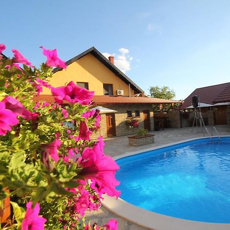 Guest House Vila Alexandar Palic Ngoại thất bức ảnh