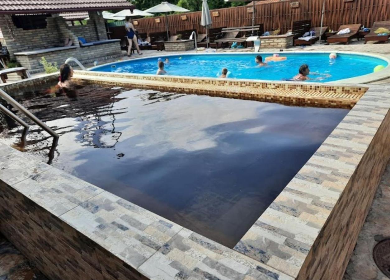 Guest House Vila Alexandar Palic Ngoại thất bức ảnh