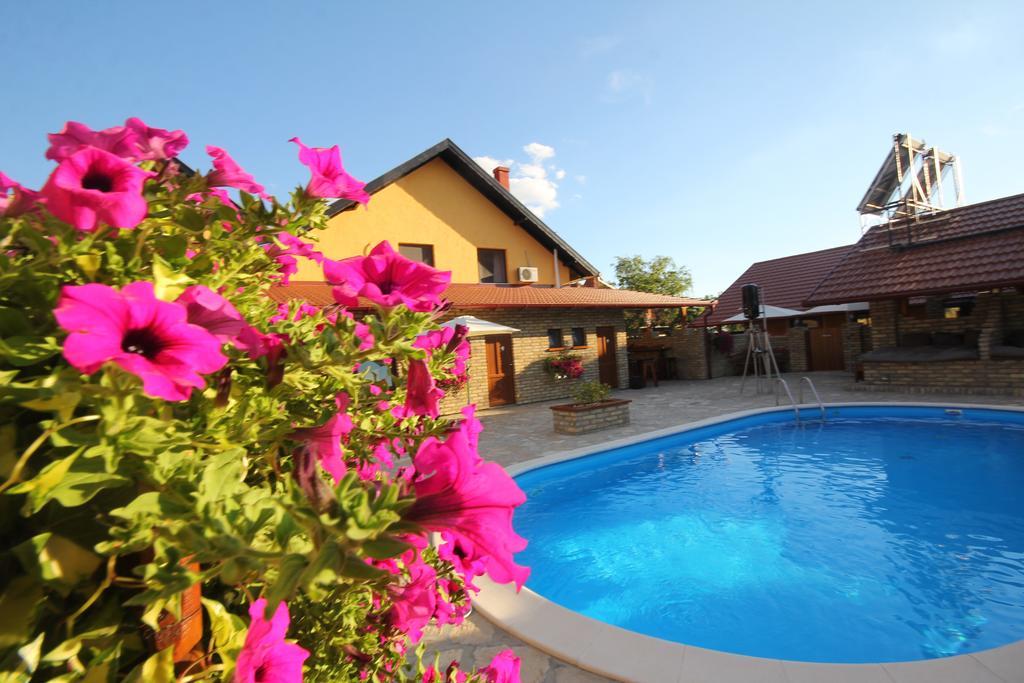 Guest House Vila Alexandar Palic Ngoại thất bức ảnh
