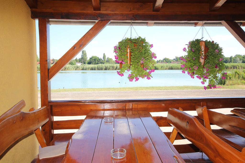 Guest House Vila Alexandar Palic Ngoại thất bức ảnh