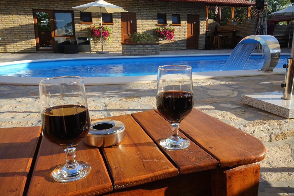 Guest House Vila Alexandar Palic Ngoại thất bức ảnh