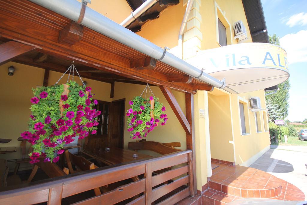 Guest House Vila Alexandar Palic Ngoại thất bức ảnh